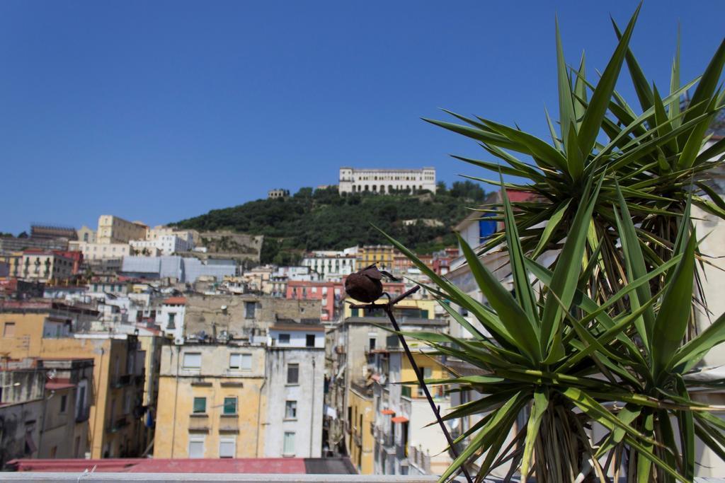 Sui Tetti Di Napoli Ξενοδοχείο Εξωτερικό φωτογραφία